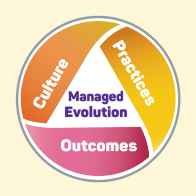 Organisationen entwickeln mit dem Kanban Maturity Modell