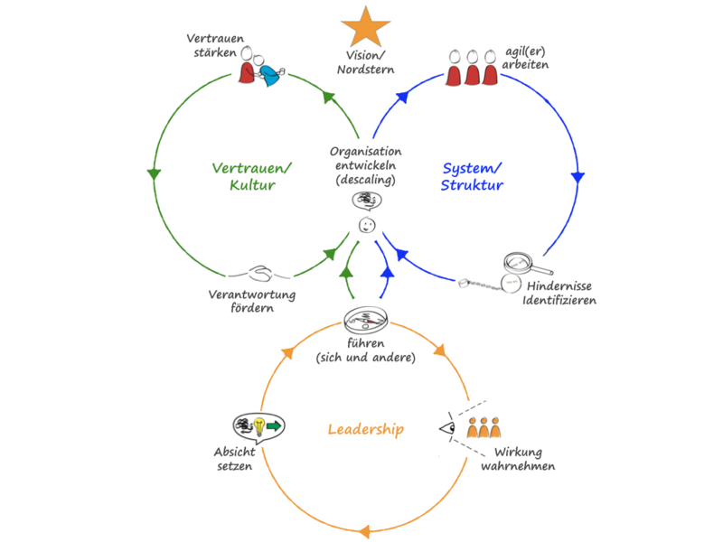 Trust System Leadership Cycle