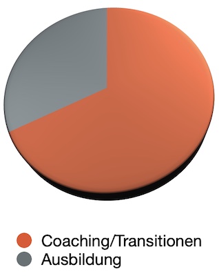 Coaching und Transitionen