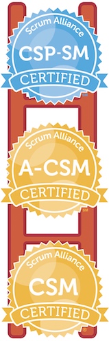 Leiter der CSM-Zertifikate